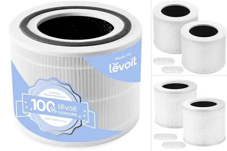 Detailed view of Best Air Filter Replacements