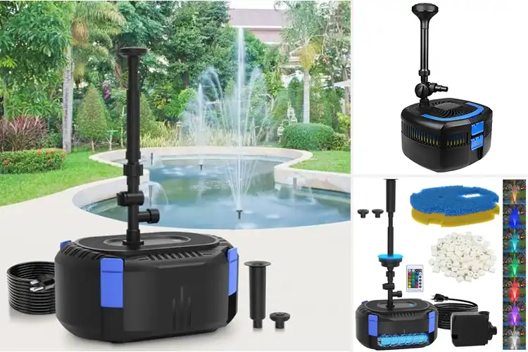 Detailed view of Best All-in-One Fountain Kits