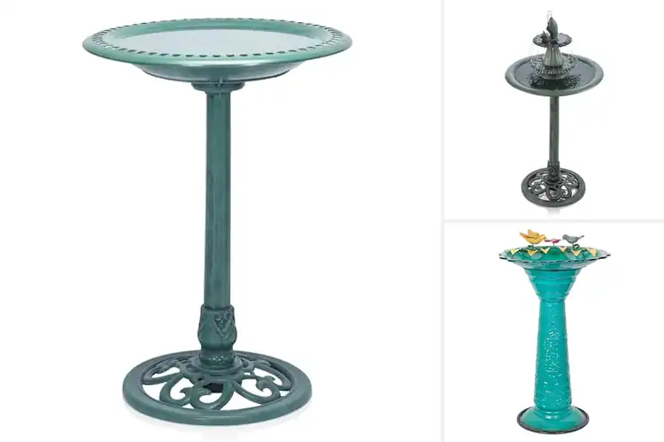 Detailed view of Best Alpine Green Pedestals