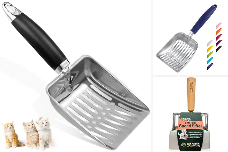 Detailed view of Best Cat Litter Scoop Efficiency