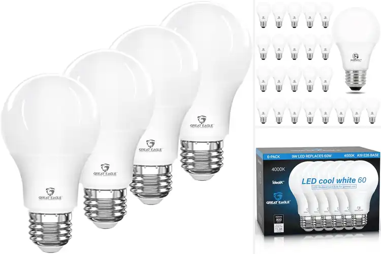 Detailed view of Best Cool White LED Bulbs