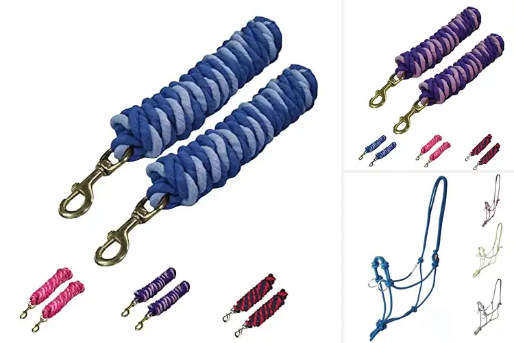 Detailed view of Best Derby Rope For Training