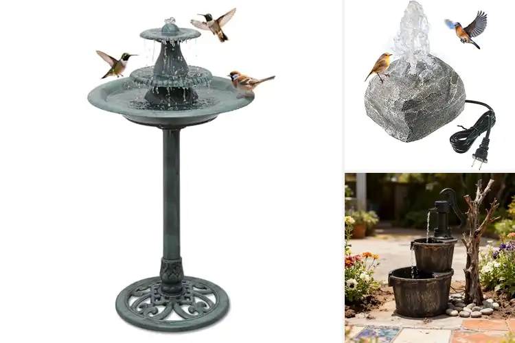 Detailed view of Best Electric Water Fountains