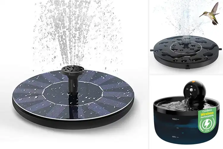 Detailed view of Best Lightweight Water Fountains