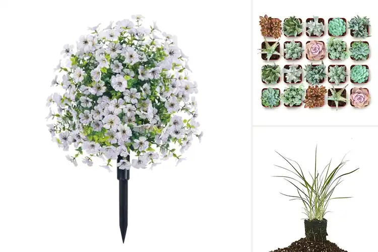 Detailed view of Best Low-Maintenance Garden Decor