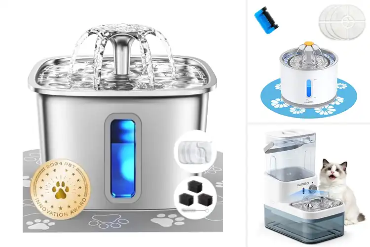 Detailed view of Best Low-Maintenance Water Fountains