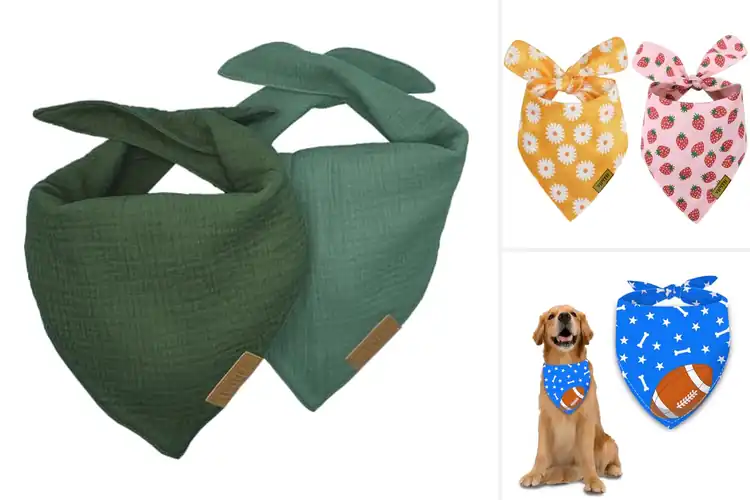 Detailed view of Best Premium Fabric Dog Bandana