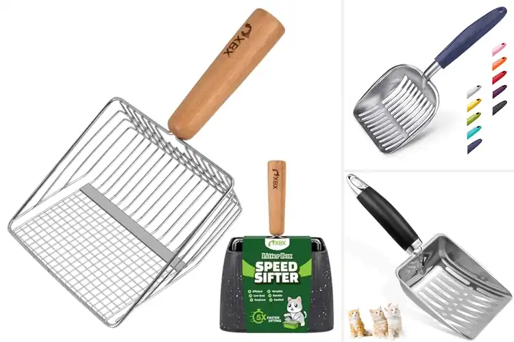 Detailed view of Best Rust Proof Litter Scoop Durabilities