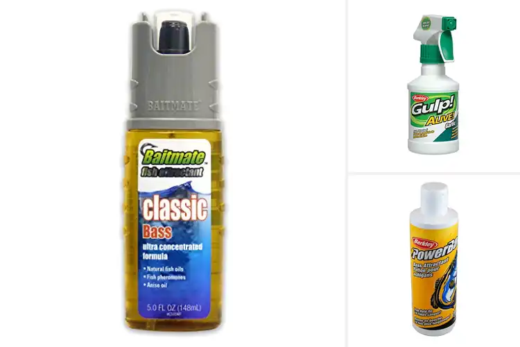 Detailed view of Best Scented Fishing Baits