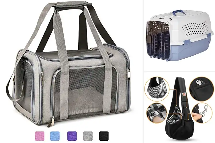 Detailed view of Best Small Dog Carrier: Top 10 Picks for Stress-Free Travel
