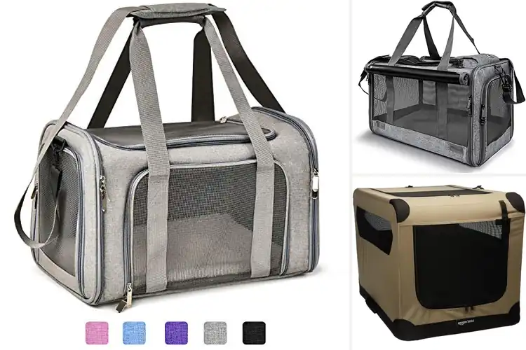 Detailed view of Best Soft Sided Dog Carrier